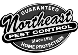 GUARANTEED NORTHEAST PEST CONTROL SINCE 1981 HOME PROTECTION trademark