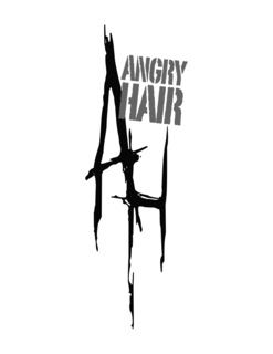AH ANGRY HAIR trademark
