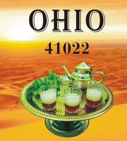 OHIO 41022 trademark