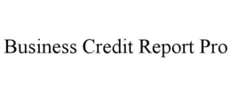BUSINESS CREDIT REPORT PRO trademark
