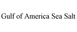 GULF OF AMERICA SEA SALT trademark