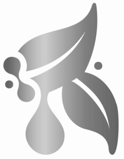 R trademark
