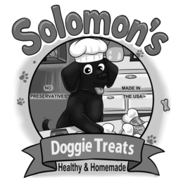 SOLOMON'S DOGGIE TREATS HEALTHY & HOMEMADE NO PRESERVATIVES MADE IN THE USA INVITATI BINN INVITATION JAKE trademark