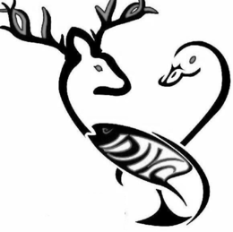 DIVA trademark