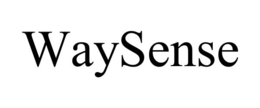 WAYSENSE trademark