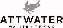 ATTWATER WALLER TEXAS trademark