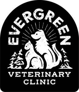 EVERGREEN VETERINARY CLINIC trademark