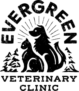 EVERGREEN VETERINARY CLINIC trademark