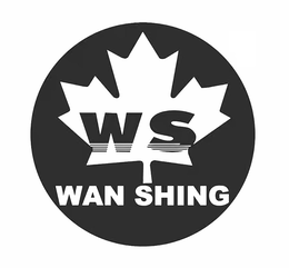 WS WAN SHING trademark