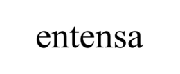 ENTENSA trademark