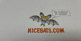 NICEBATS.COM BAT PROBLEMS? NO PROBLEM! trademark