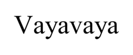 VAYAVAYA trademark