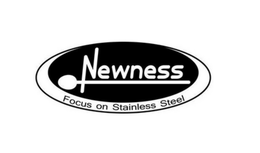 NEWNESS FOCUS ON STAINLESS STEEL trademark