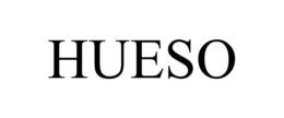 HUESO trademark