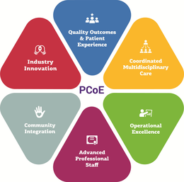 PCOE QUALITY OUTCOMES & PATIENT EXPERIENCE COORDINATED MULTIDISCIPLINARY CARE OPERATIONAL EXCELLENCE ADVANCED PROFESSIONAL STAFF COMMUNITY INTEGRATION INDUSTRY INNOVATION trademark