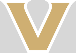 V trademark
