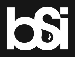 BSI trademark