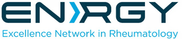 ENRGY EXCELLENCE NETWORK IN RHEUMATOLOGY trademark