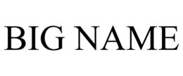 BIG NAME trademark