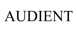 AUDIENT trademark