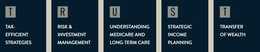 T TAX- EFFICIENT STRATEGIES R RISK & INVESTMENT MANAGEMENT U UNDERSTANDING MEDICARE AND LONG-TERM CARE S STRATEGIC INCOME PLANNING T TRANSFER OF WEALTH trademark