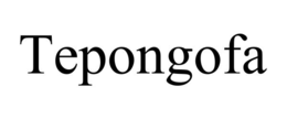 TEPONGOFA trademark
