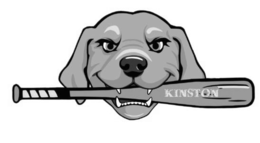 KINSTON trademark
