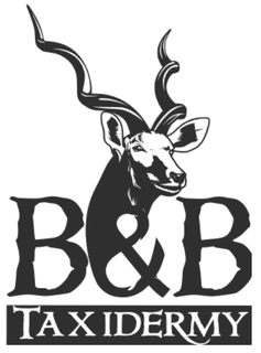 B&B TAXIDERMY trademark