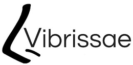 VIBRISSAE trademark