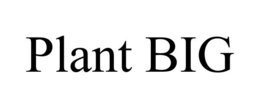 PLANT BIG trademark
