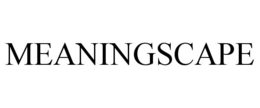 MEANINGSCAPE trademark