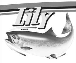 LILY BRAND trademark