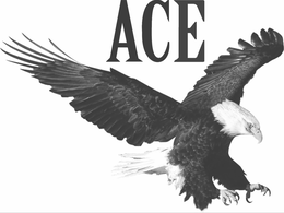 ACE trademark