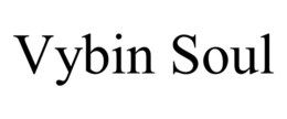 VYBIN SOUL trademark