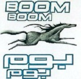 BOOM BOOM trademark
