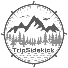 TRIPSIDEKICK trademark