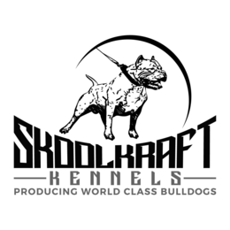SKOOLKRAFT KENNELS PRODUCING WORLD CLASS BULLDOGS trademark