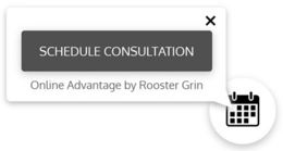 SCHEDULE CONSULTATION ONLINE ADVANTAGE BY ROOSTER GRIN trademark