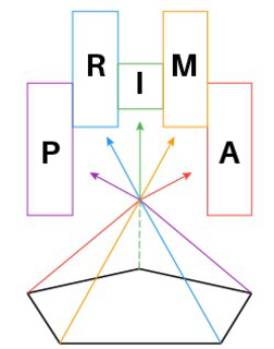 P R I M A trademark