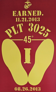 PLT 3025 EARNED. 11.21.2013 08.26.2013 45 trademark