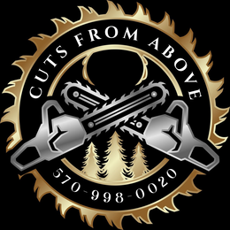 CUTS FROM ABOVE 570-998-0020 trademark