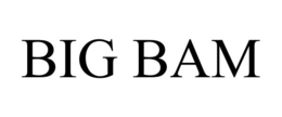 BIG BAM trademark