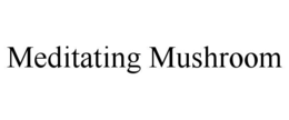 MEDITATING MUSHROOM trademark