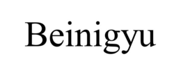 BEINIGYU trademark