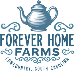 FOREVER HOME FARMS LOWCOUNTRY, SOUTH CAROLINA trademark