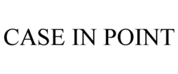 CASE IN POINT trademark