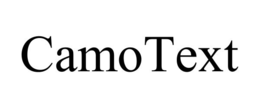 CAMOTEXT trademark