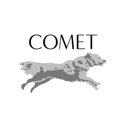 COMET trademark