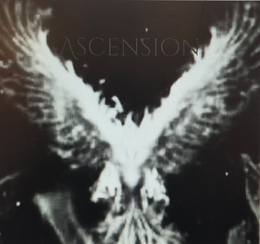 ASCENSION trademark