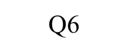 Q6 trademark